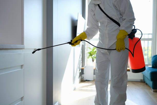 Best Health and Safety Mold Remediation in Lakes East, CT